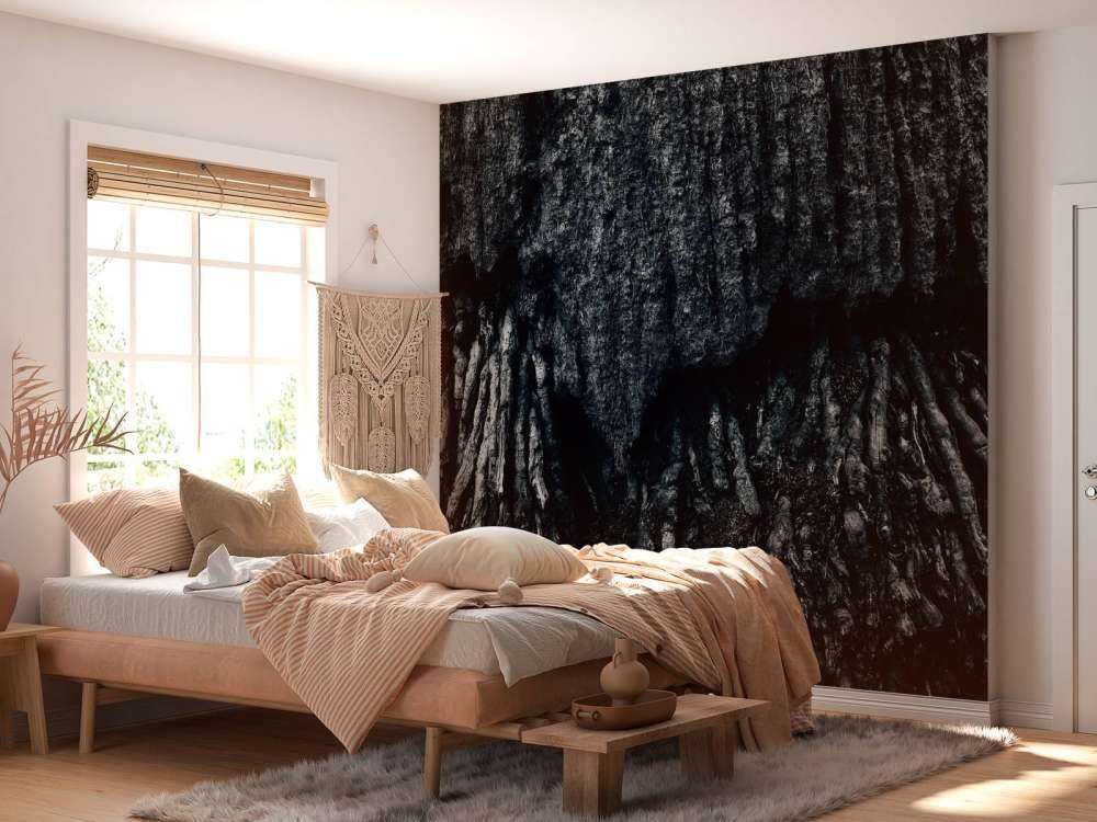 L'arbre, en noir et blanc