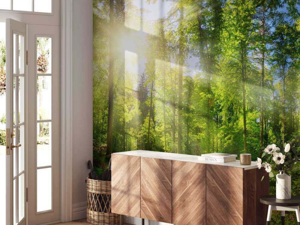 Une forêt avec des rayons de soleil