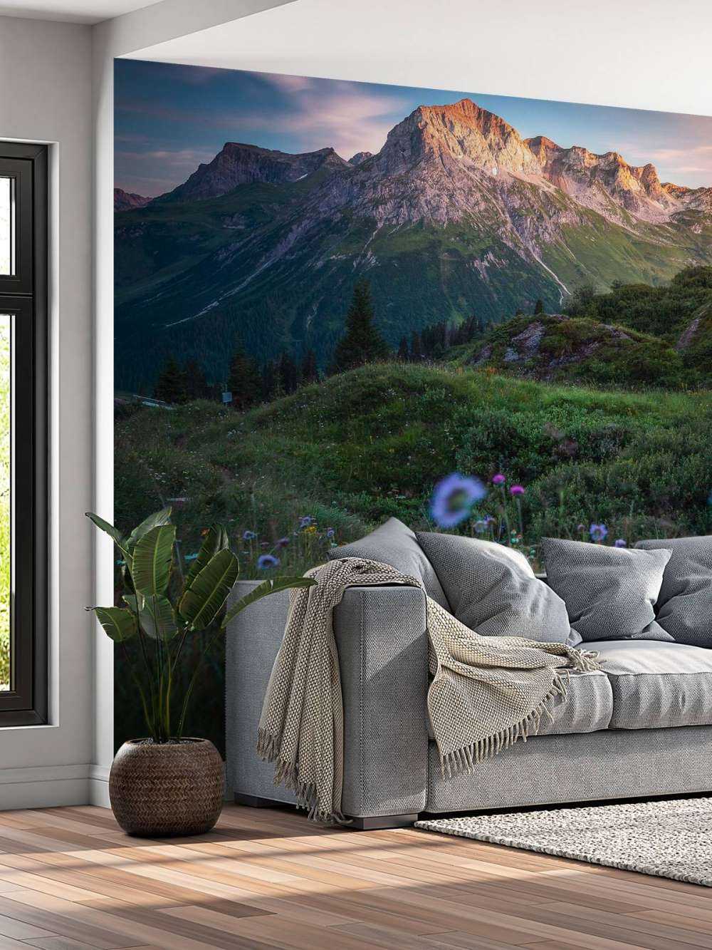 Lumière du soir sur la vallée des fleurs