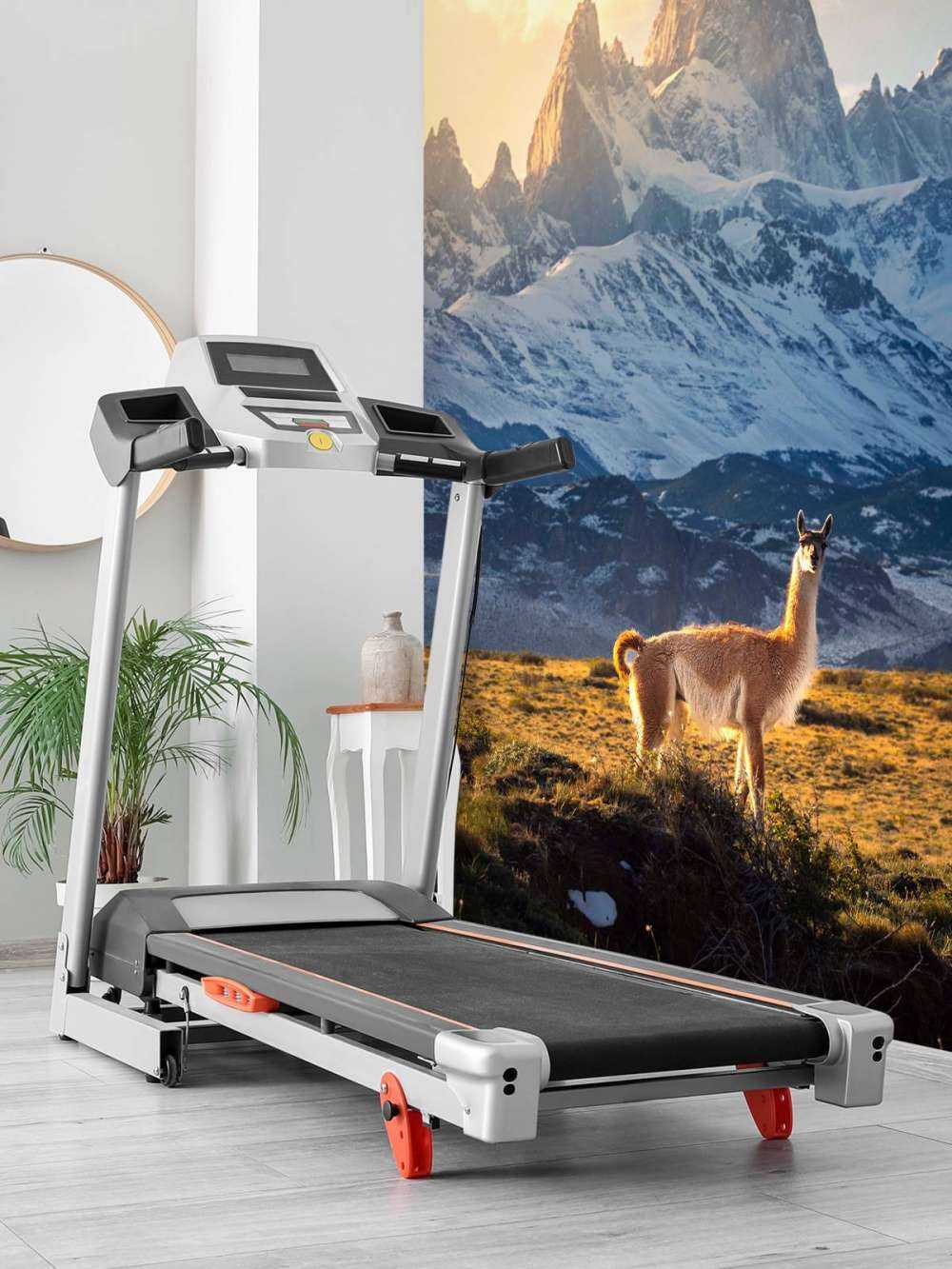 Guanaco en pleine lumière devant les sommets des Andes.