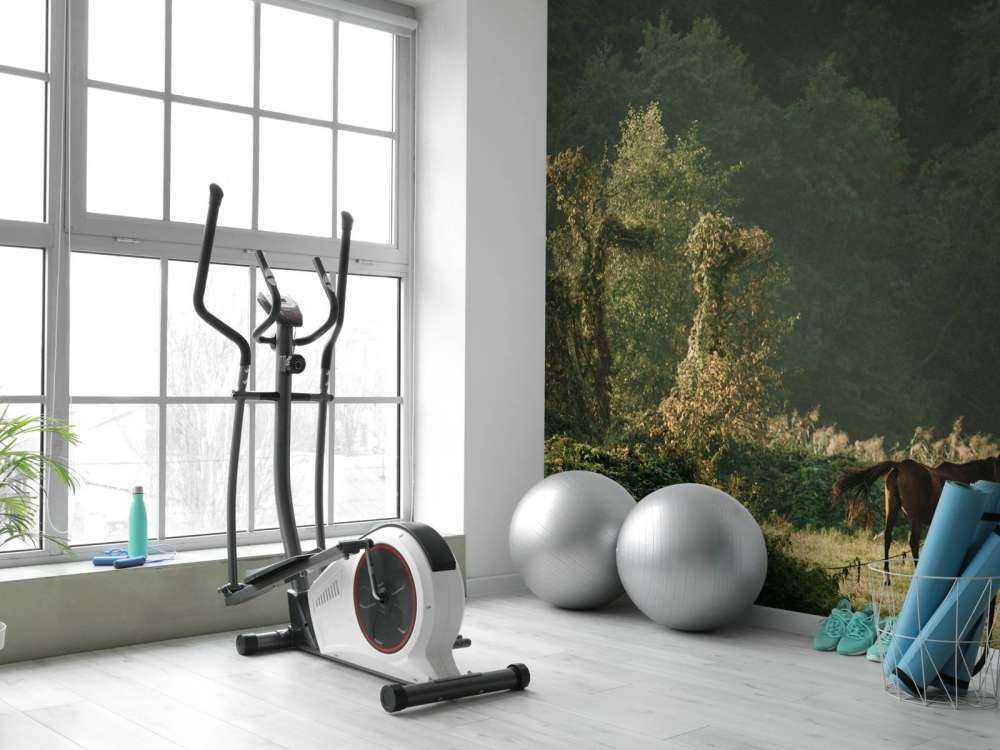 Chevaux dans la Forêt Enchantée