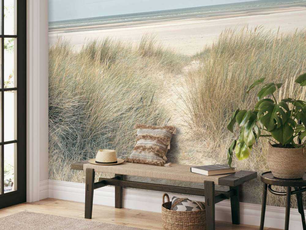 Dunes de sable herbeux sur la côte sous un ciel bleu