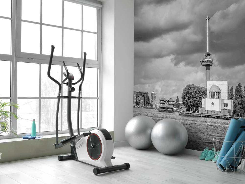 Euromast et Maas en monochrome