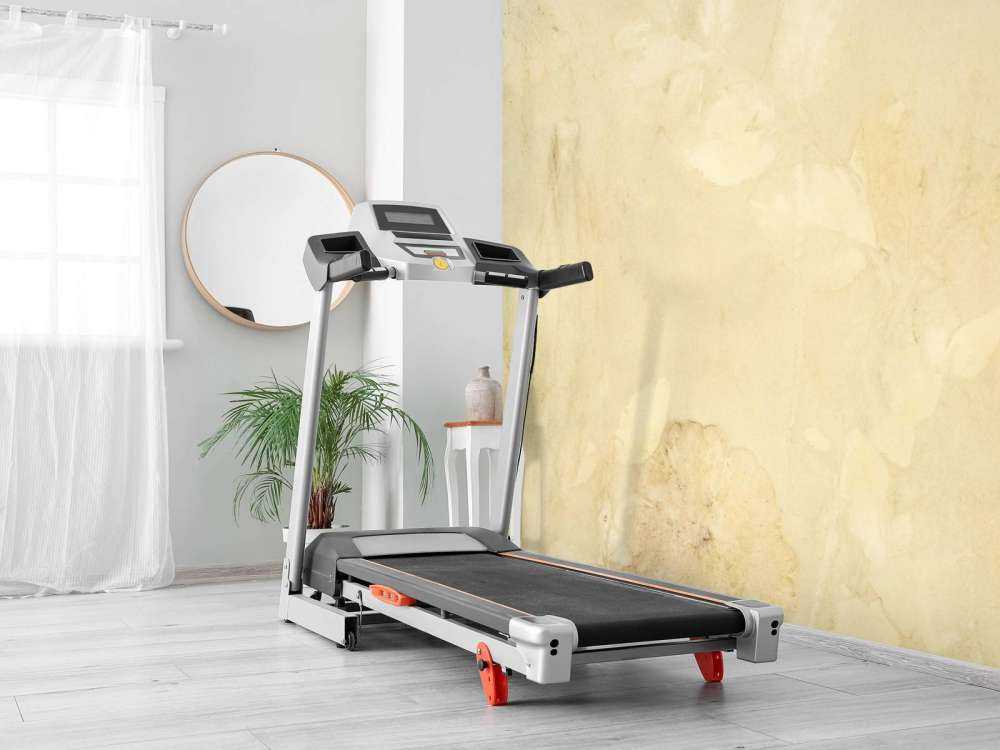 Weegbree et géranium sauvage - contre-jour