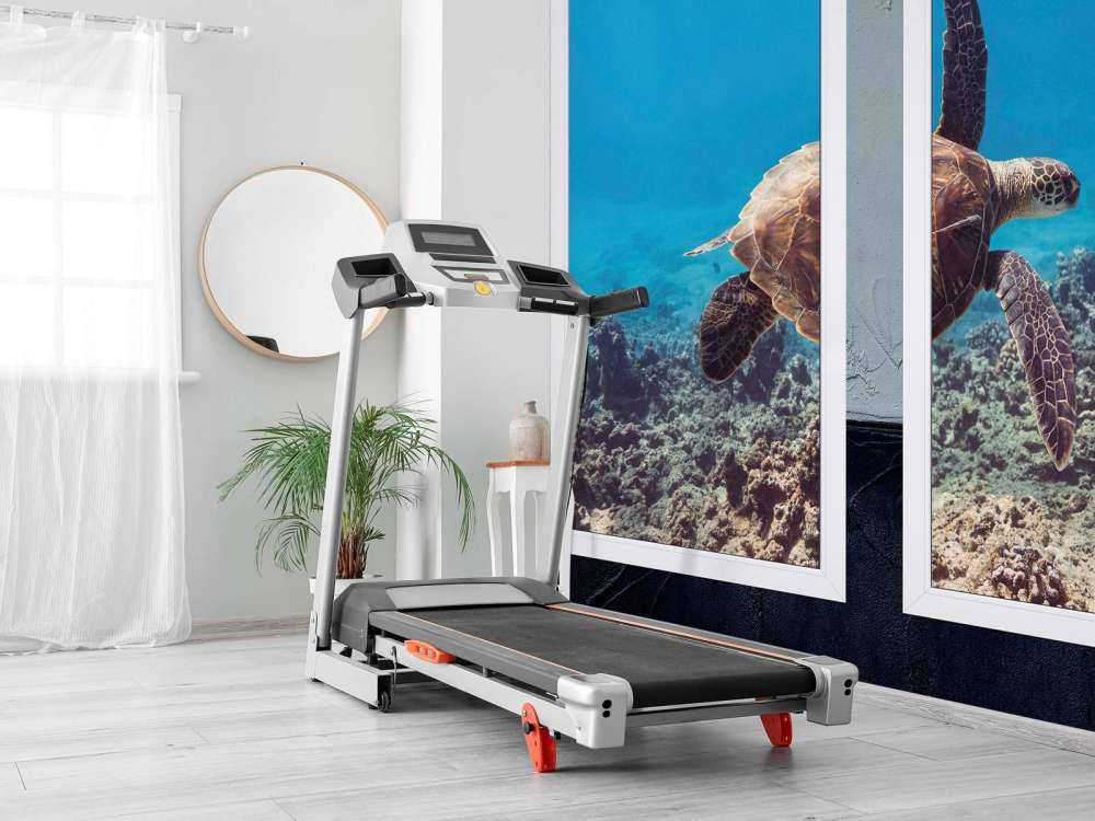 Tortue de mer au-dessus du récif corallien