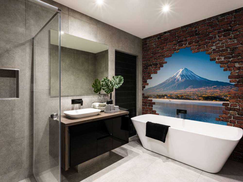 Vue sur le mont Fuji