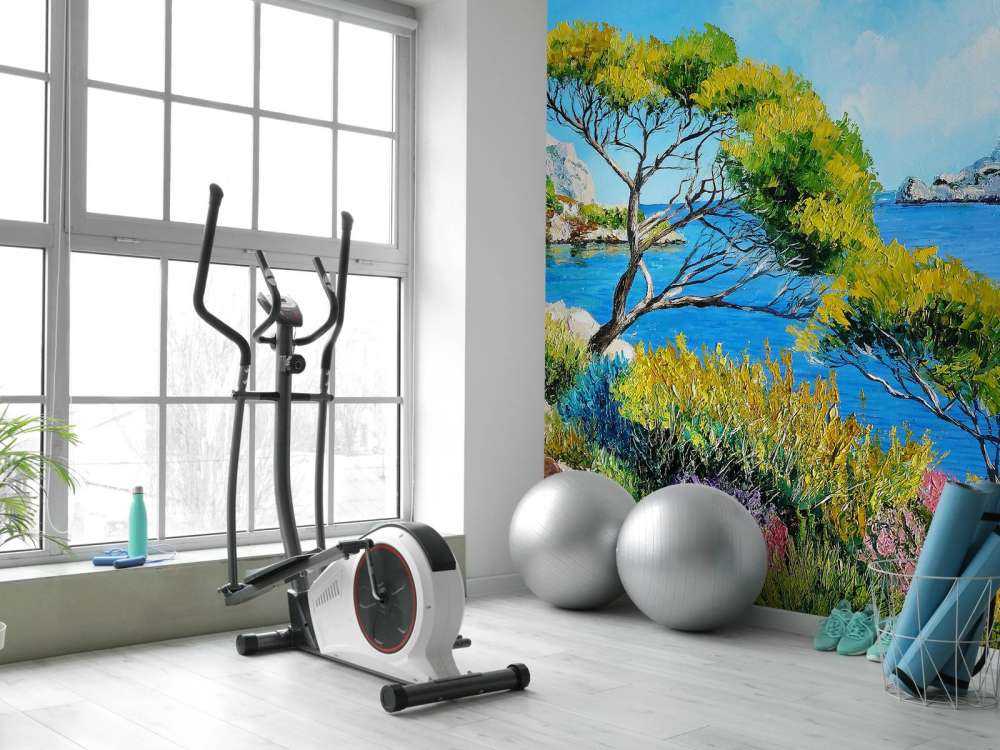 Sail in the Sormiou's cove