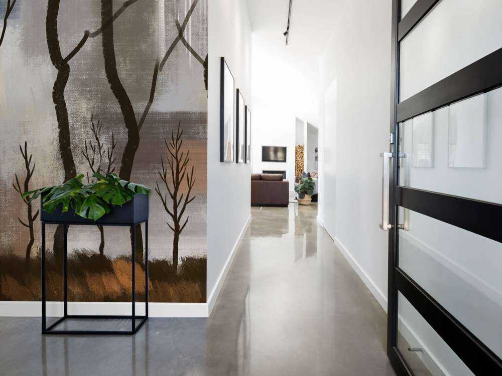 Crépuscule Silence Forêt de cerfs