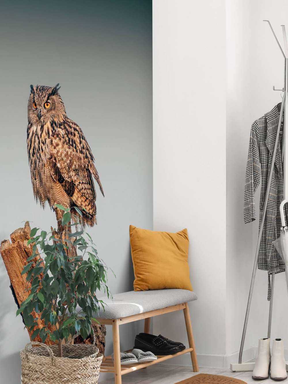 Hibou grand-duc