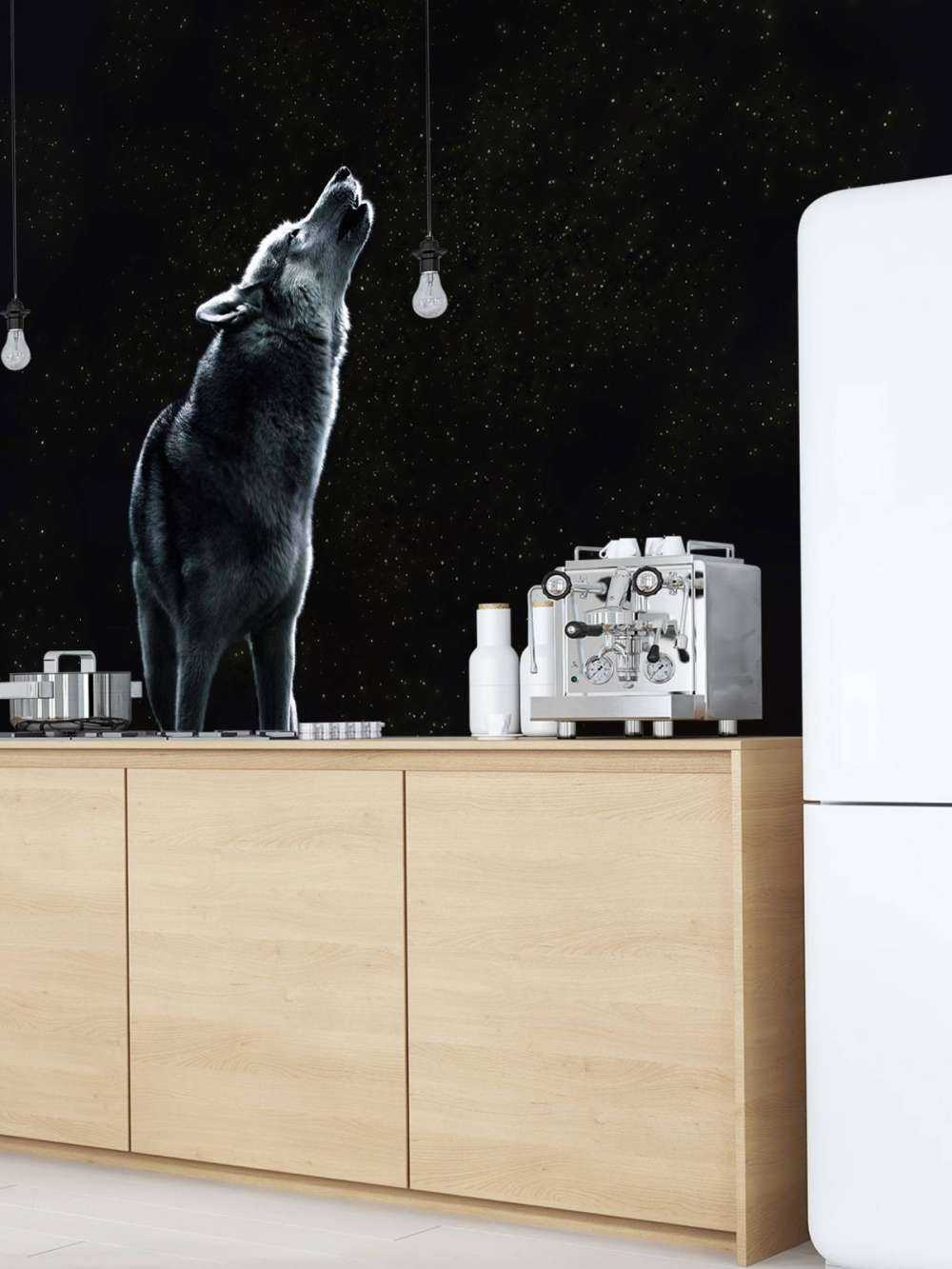 Appel de la lune Veilleur solitaire