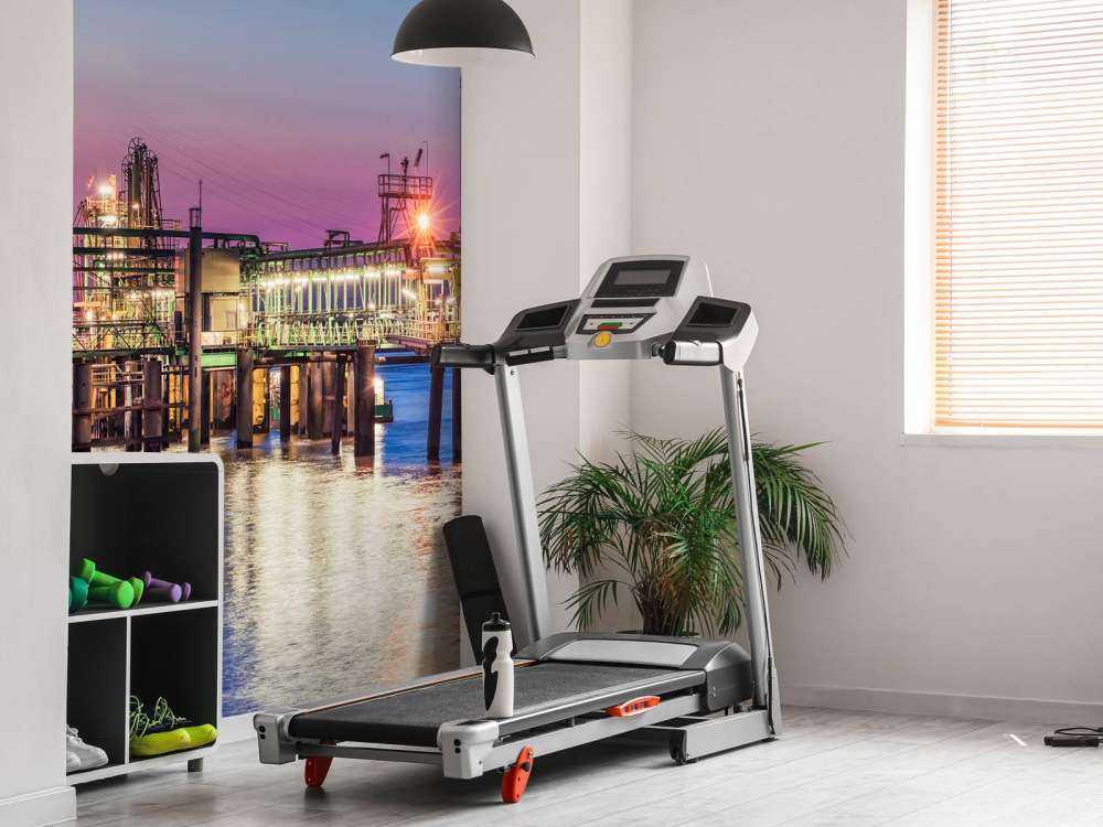 Port d'Anvers au coucher du soleil