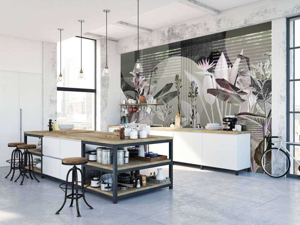 Dreams and Tropics 4