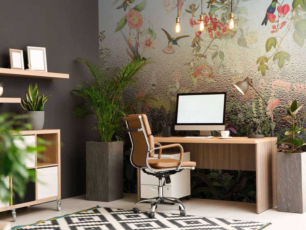 Paradis des Oiseaux Pluvieux