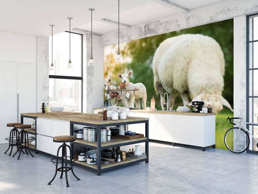 Mouton mère avec agneaux