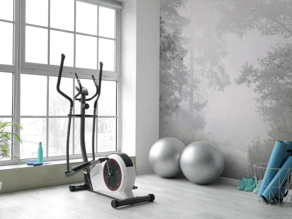 Route à travers la forêt brumeuse