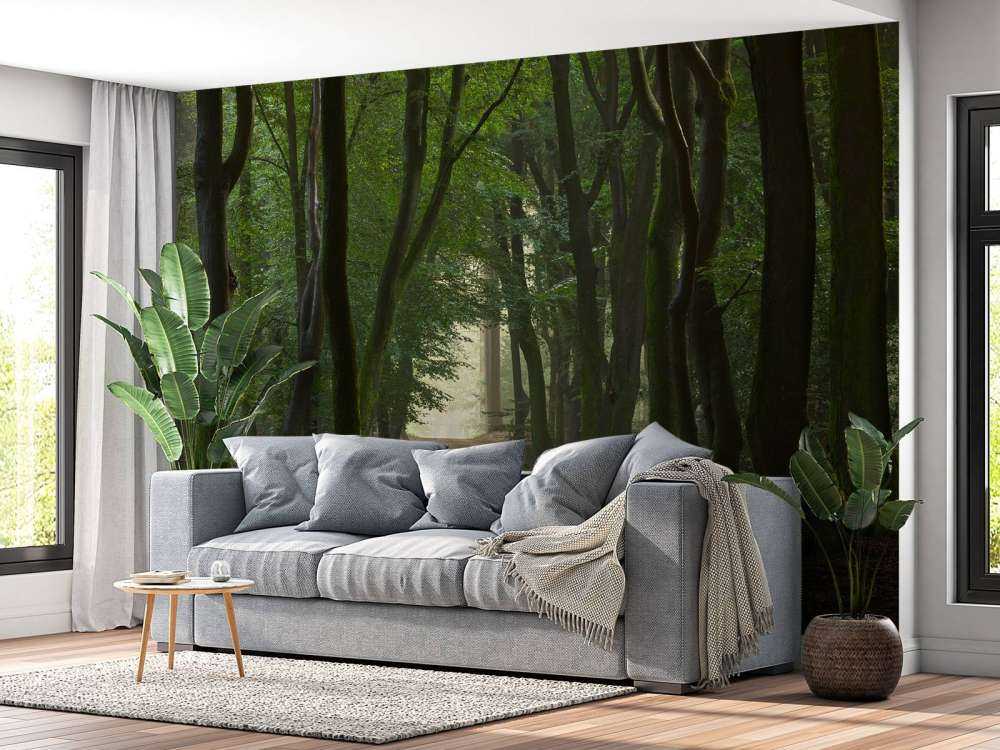 Sentier de sable dans la forêt