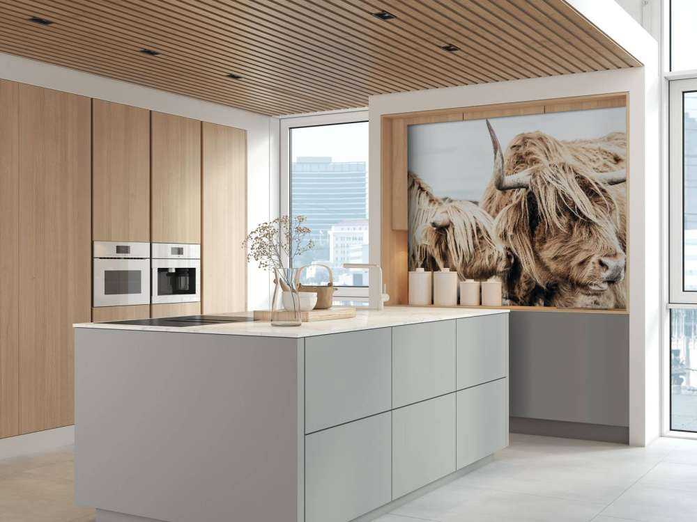 Deux Highlands écossais