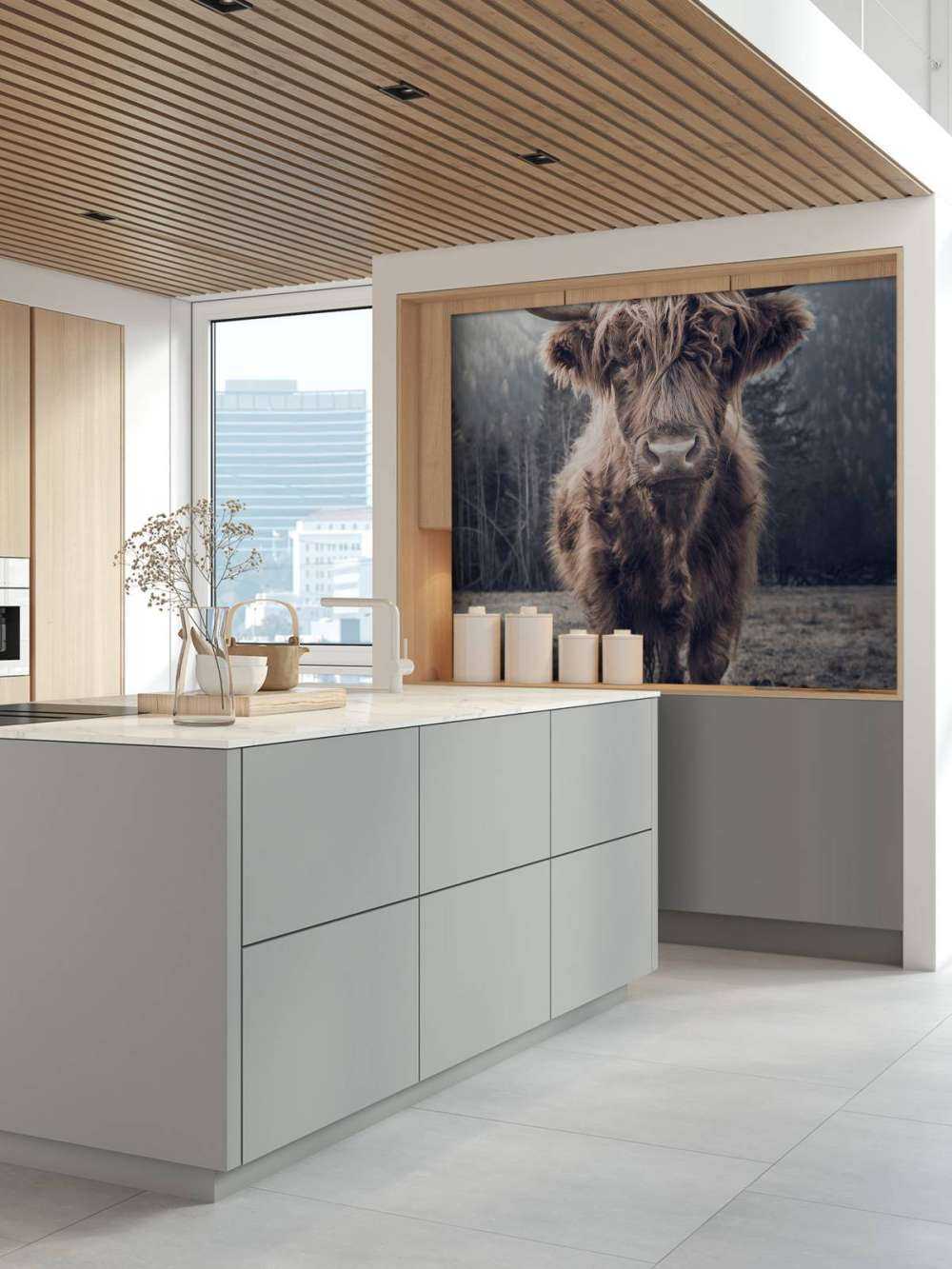 Le Highland écossais au bord de la forêt