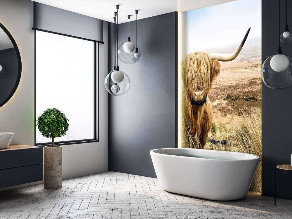 Highland écossais avec roseau