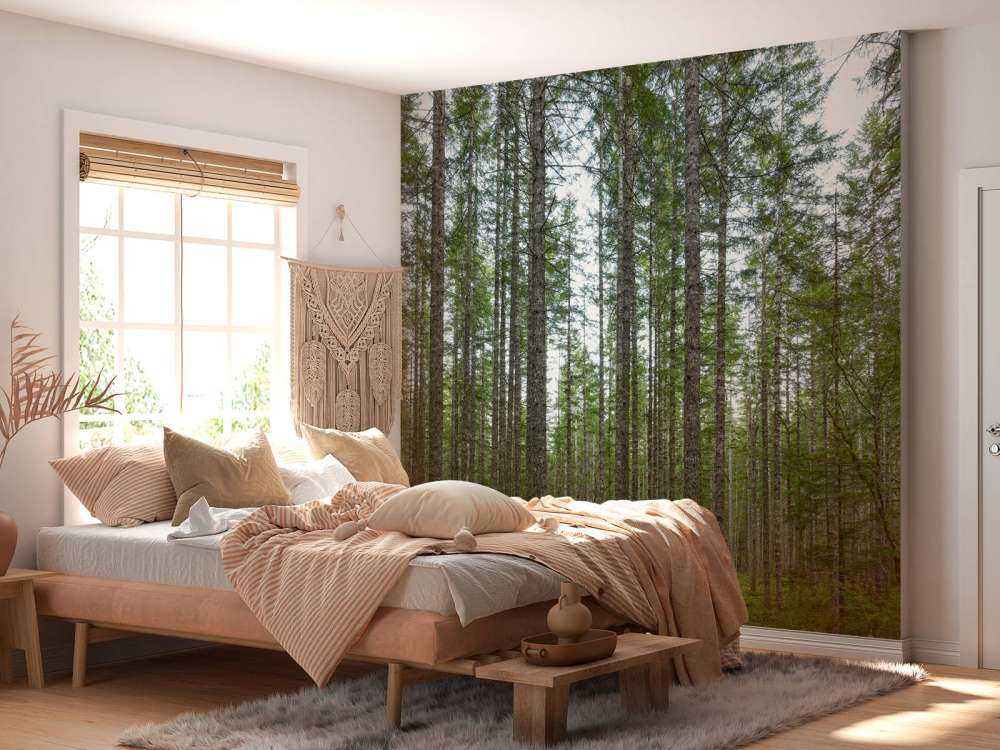 Arbres hauts et droits