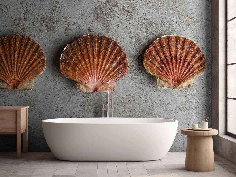 Trois coquilles