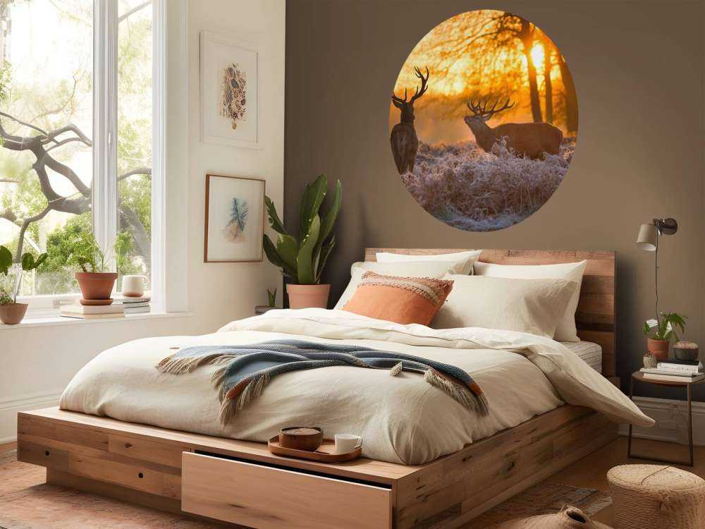 Cerfs au coucher du soleil