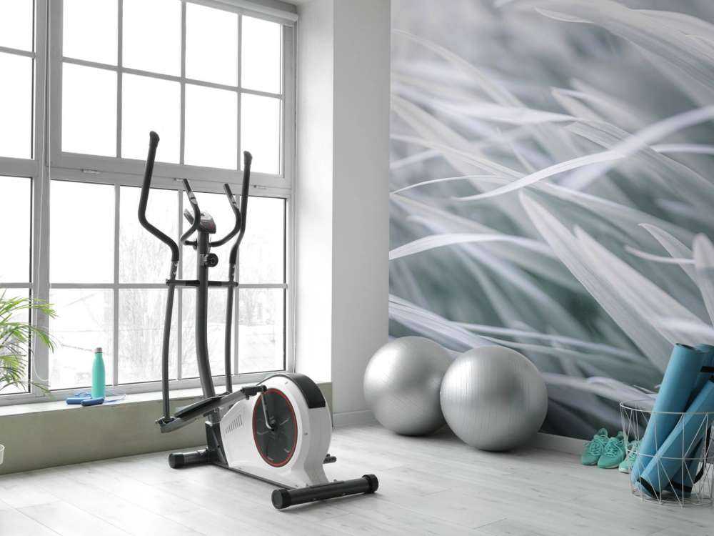 Gros plan sur des brins d'herbe