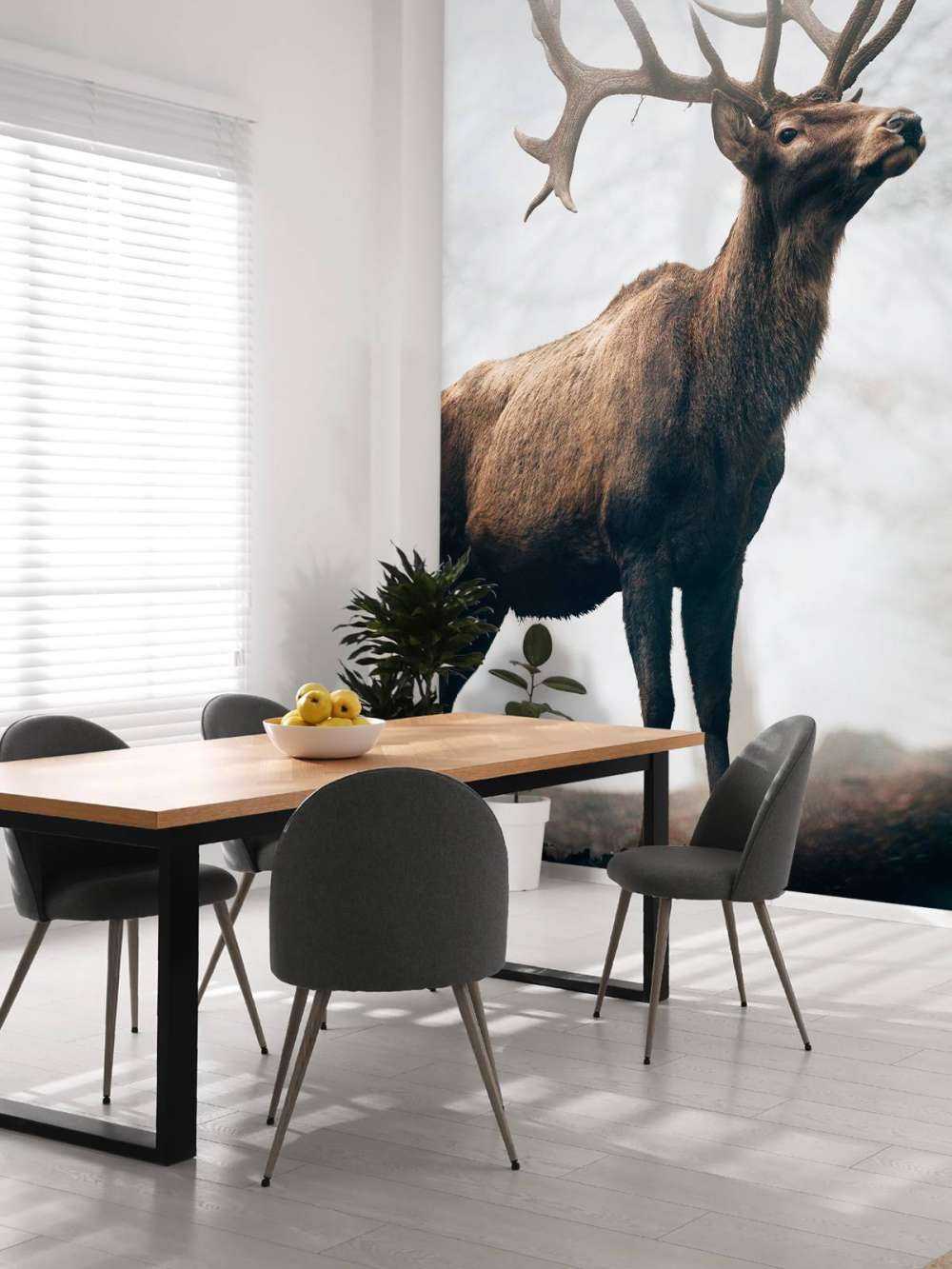 Des rennes dans le brouillard