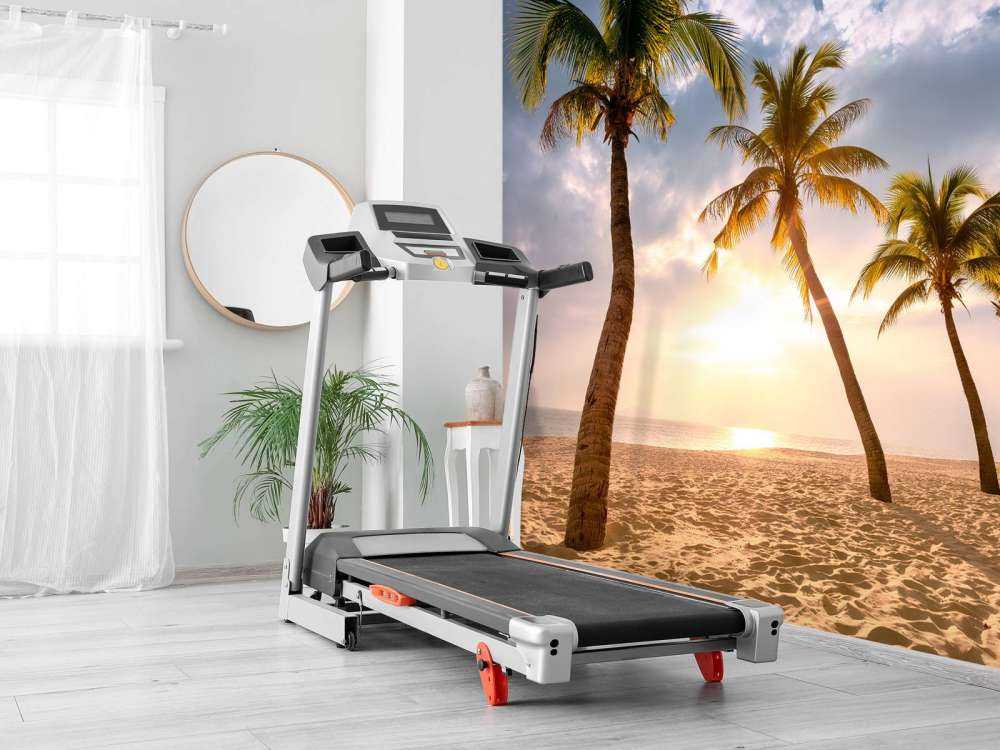 Palmiers à noix de coco contre le coucher du soleil