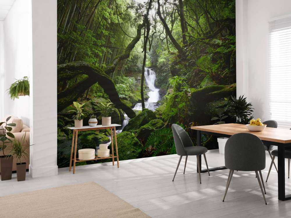 Chute d'eau entourée d'arbres