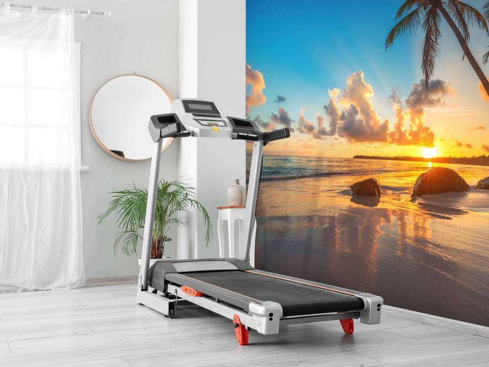 Palmiers au coucher du soleil