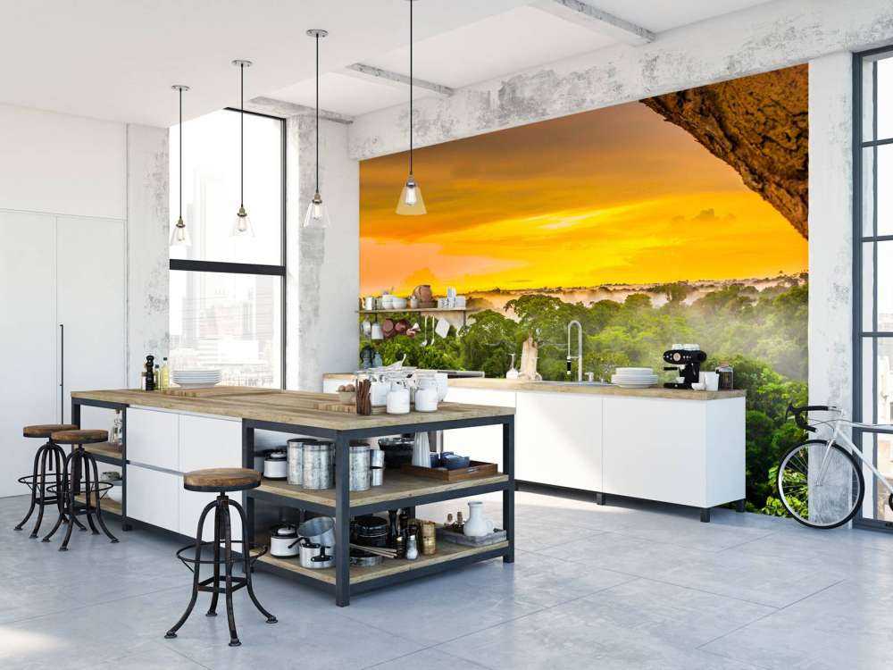 Forêt tropicale au Brésil