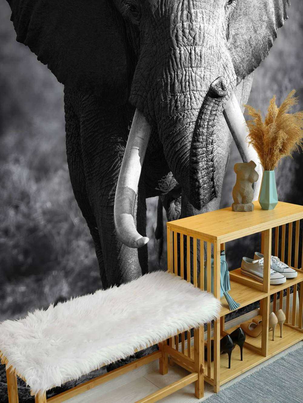 éléphant d'Afrique