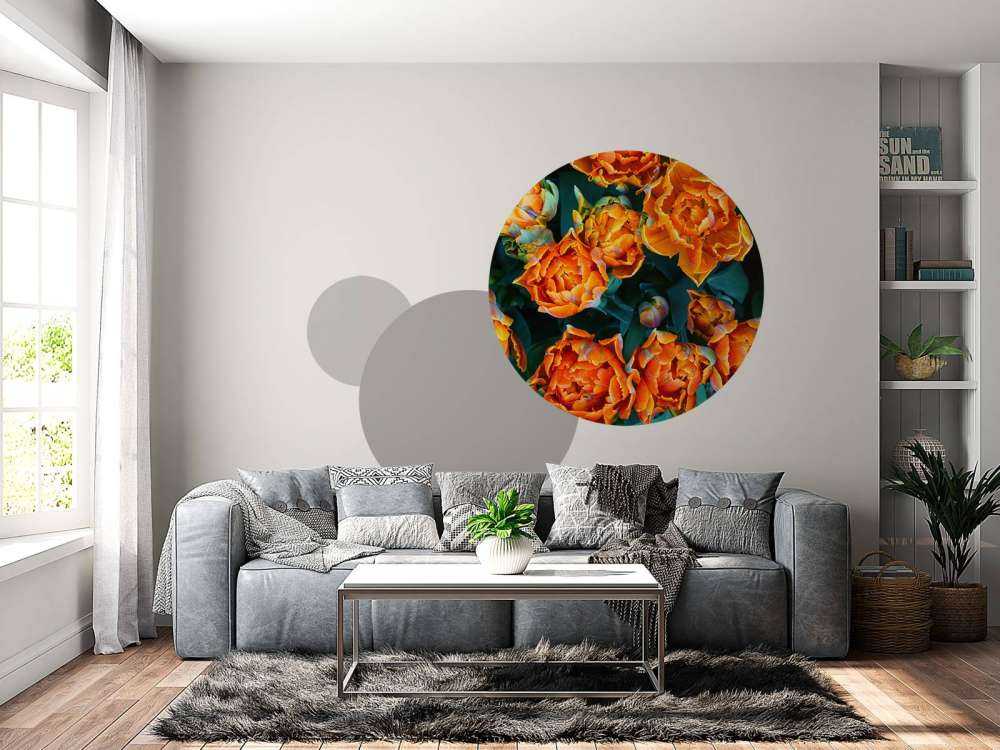 Gros plan sur des tulipes orange