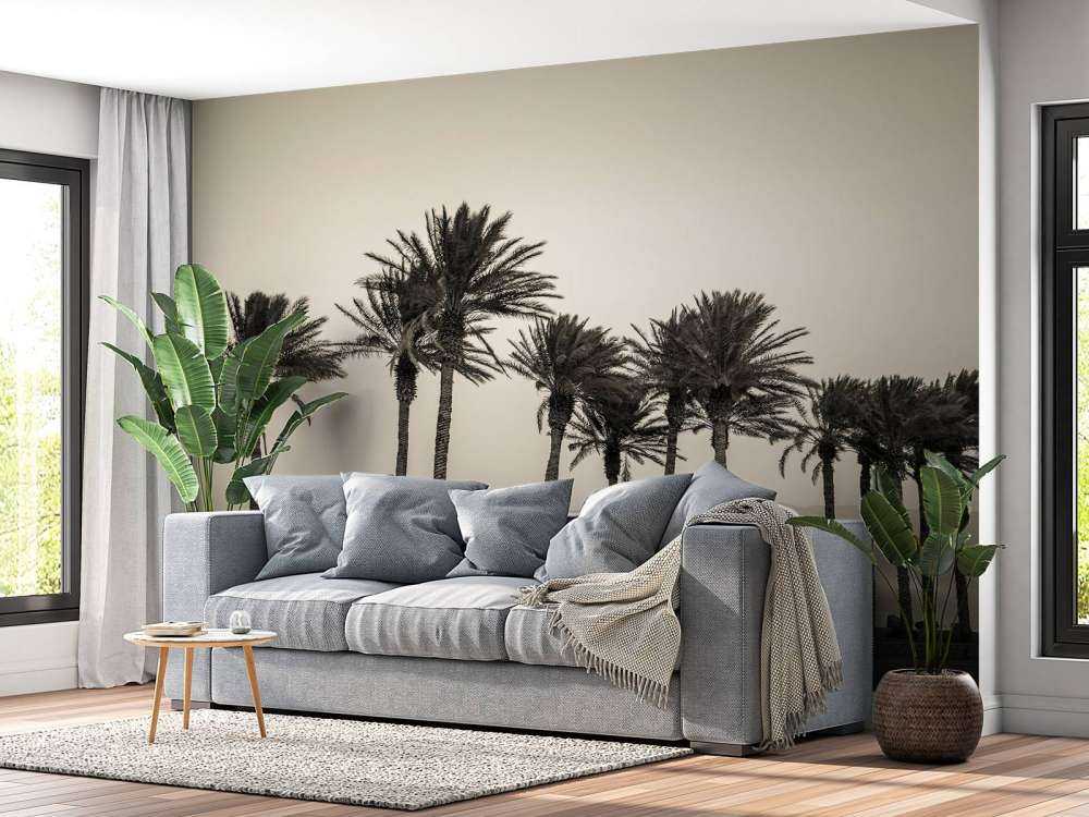 Palmiers noir et blanc