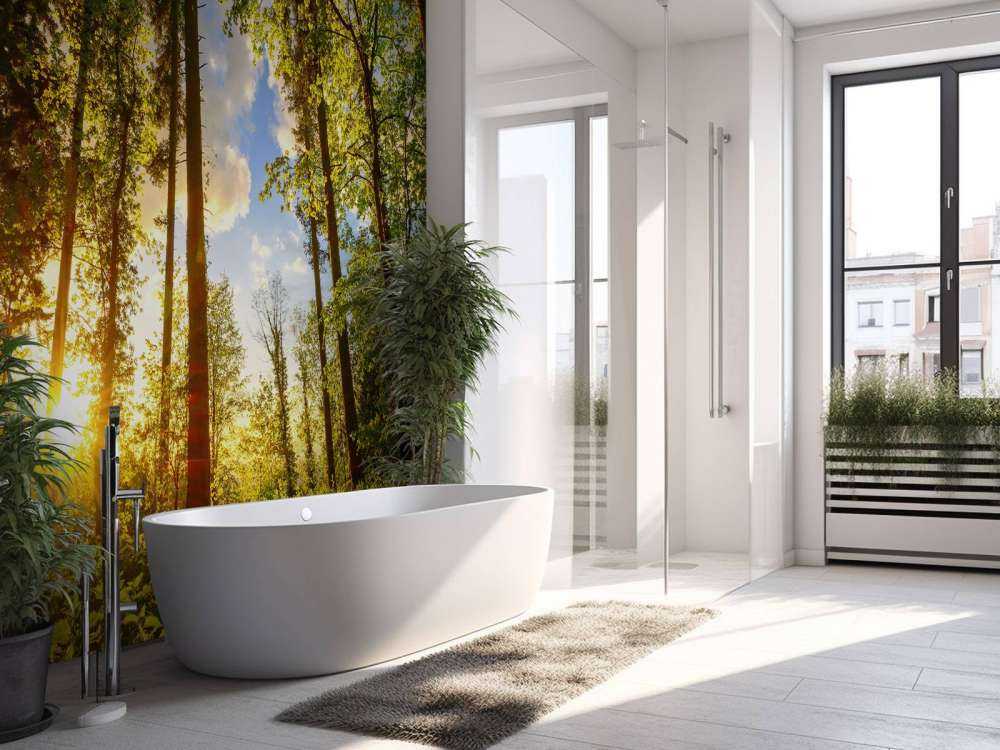 Coucher de soleil à travers les arbres