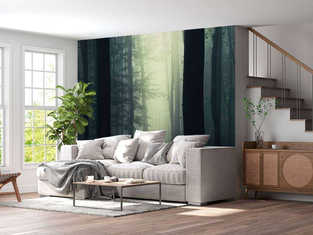 Rayon de soleil dans la forêt