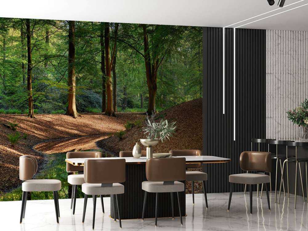 Ruisseau dans la forêt