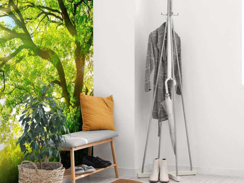 Arbre à rayons de soleil