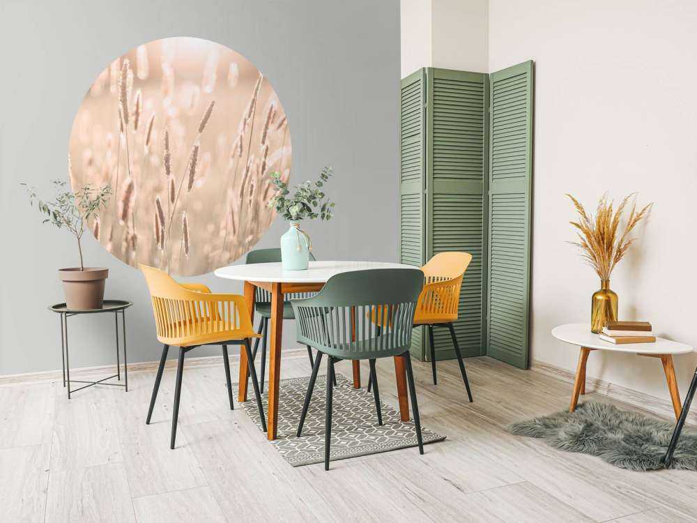 Lumière du soleil à travers la prairie