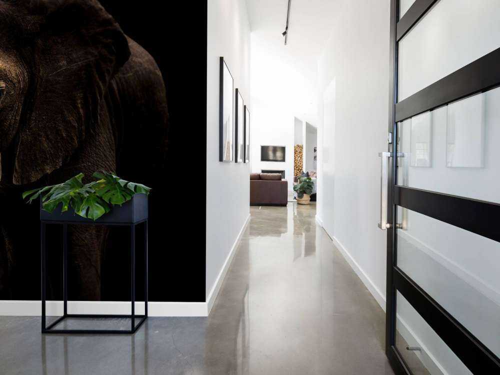 Elephant With Hummingbirds