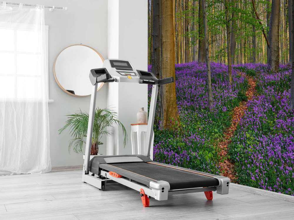 Joli chemin à travers la forêt