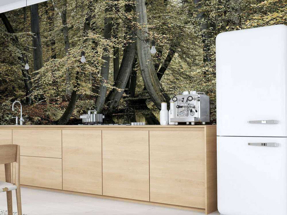 Ruisseau avec des arbres suspendus