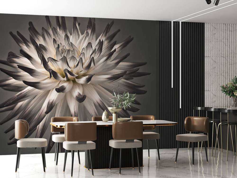 Fleur de dahlia noir et blanc