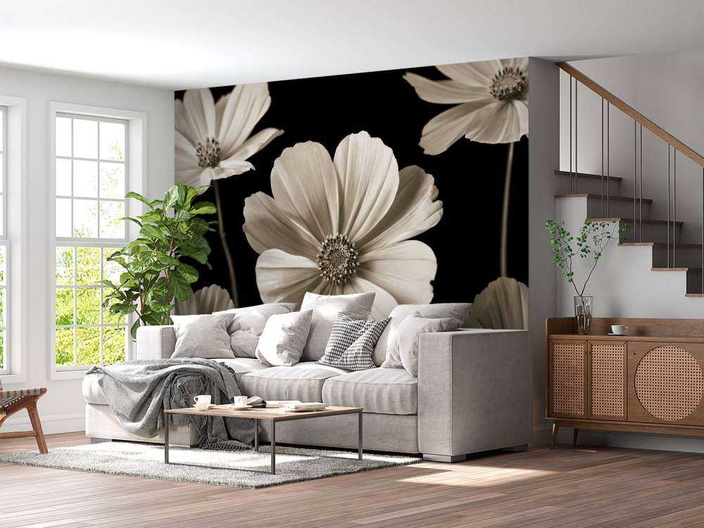 Plusieurs fleurs de cosmos