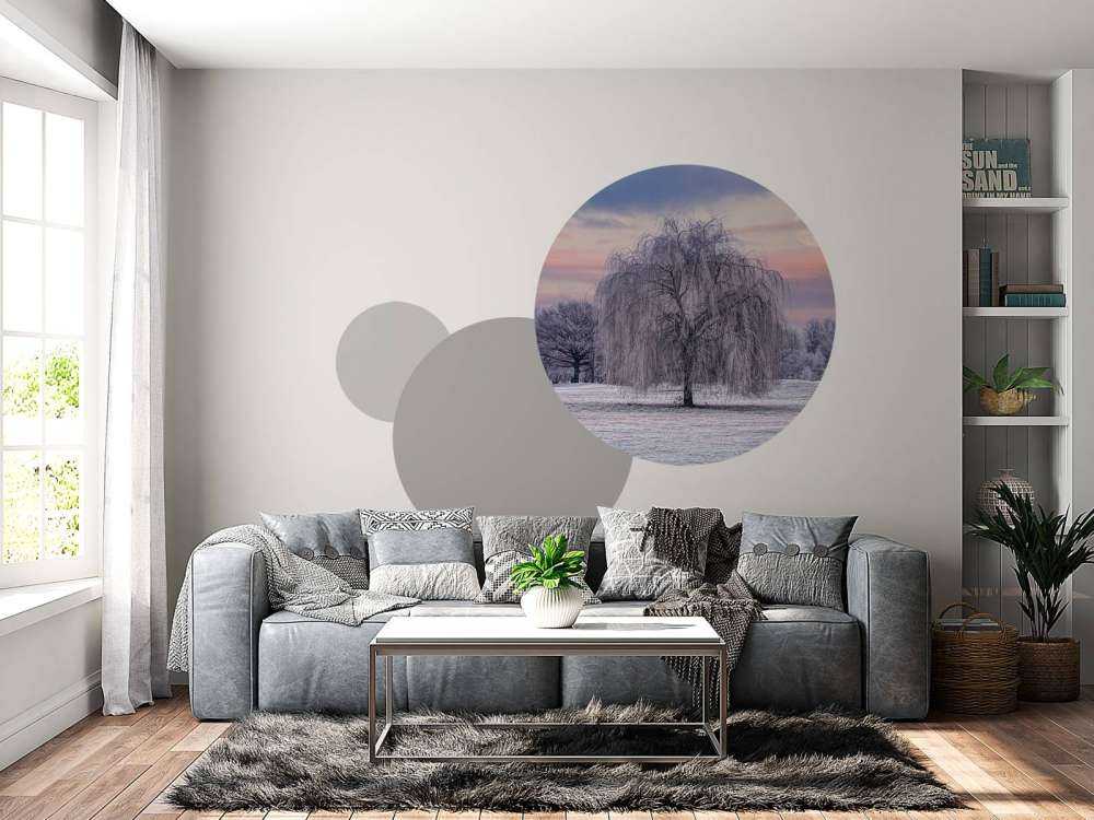 Arbre recouvert de givre