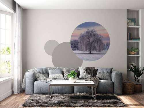 Arbre recouvert de givre