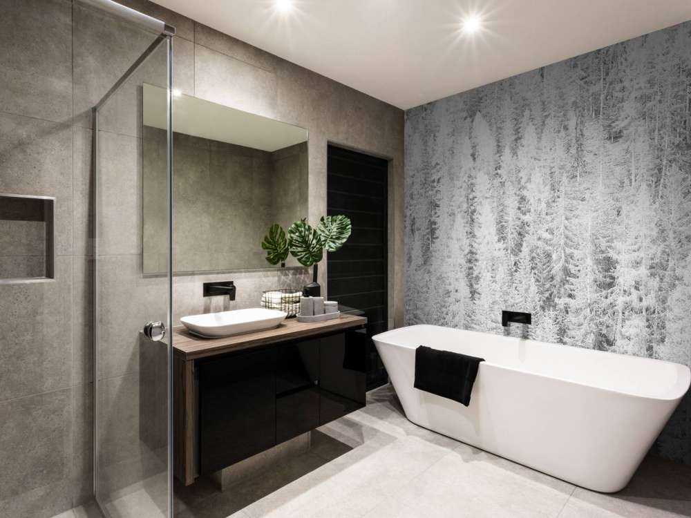 Les conifères en noir et blanc