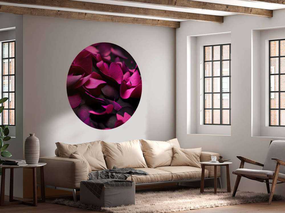 Hortensias rose foncé