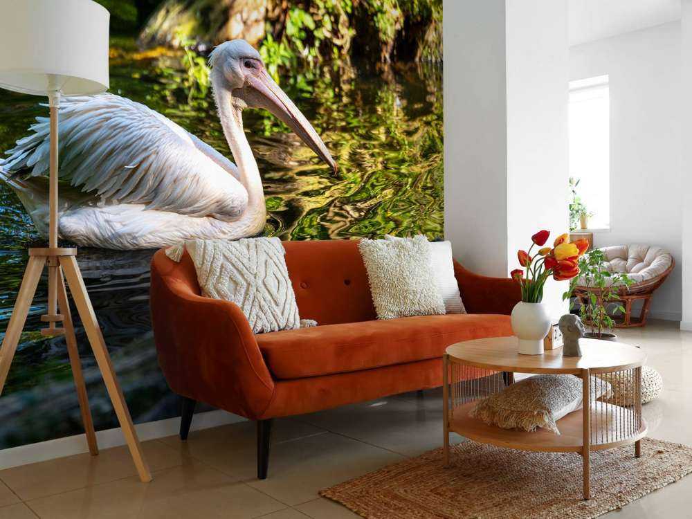 Pélican sur la rivière